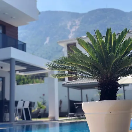 Βίλα Benali Ovacık